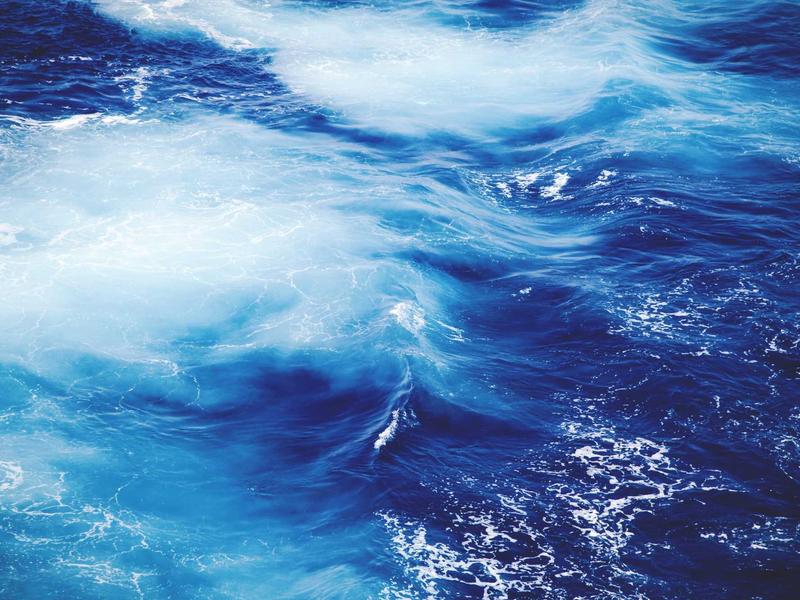 sudoku family game screenshot 6